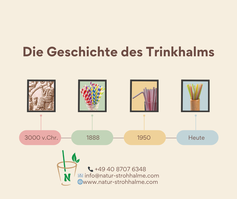 Nachhaltige Trinkhalme