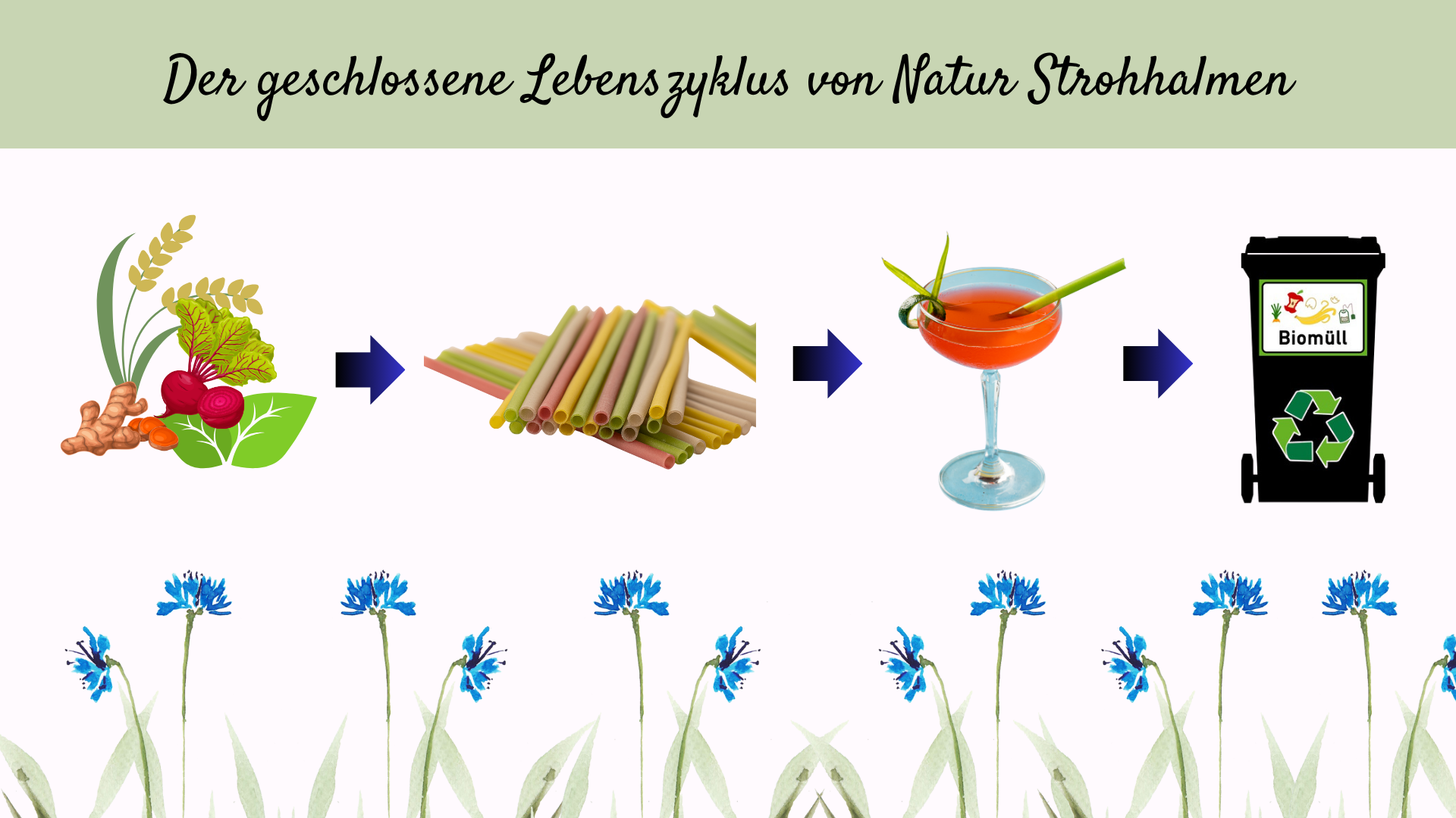 CO₂-Fußabdruck eines Trinkhalms: Welcher Strohhalm ist wirklich nachhaltig?