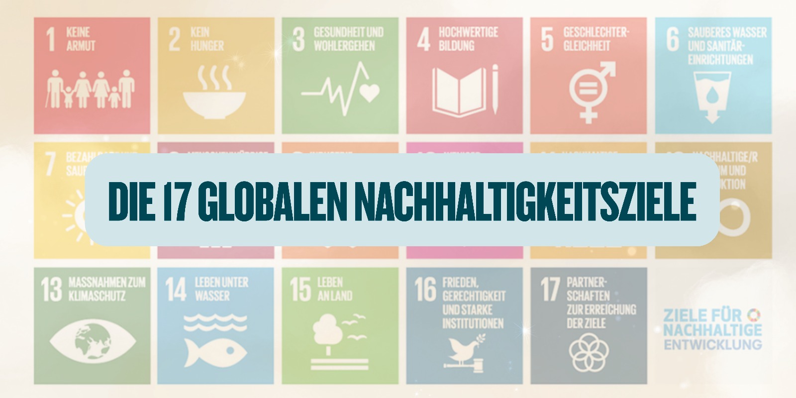 Agenda 2030 Ziele umsetzen: So gelingt Deutschlands nachhaltiger Wandel