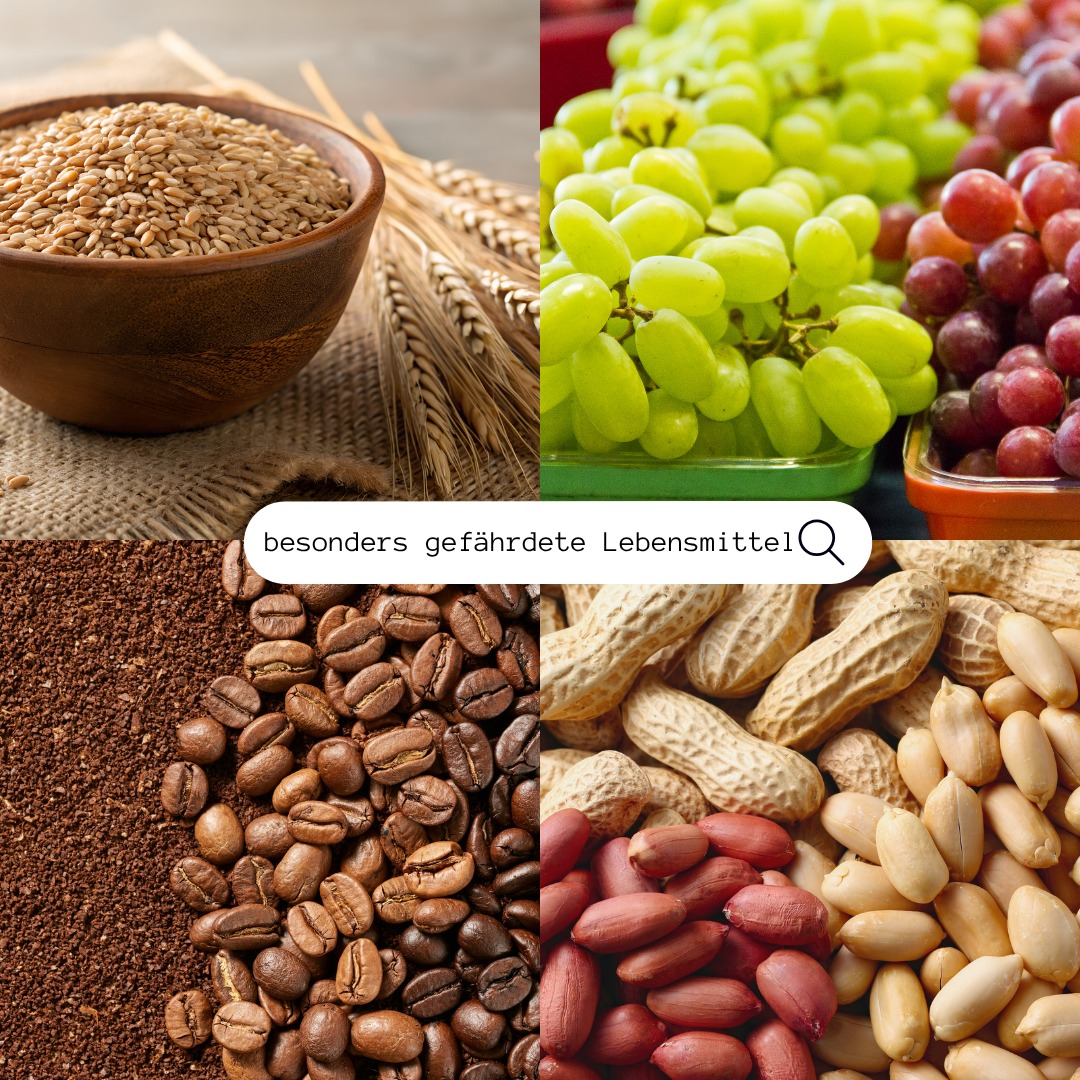 Klimawandel als Hauptursache für gefährdete Lebensmittel